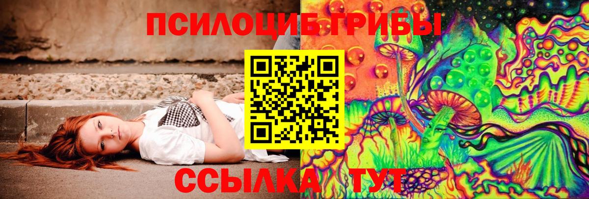 Большой Камень  Галлюциногенные грибы Psilocybe  Вход с VPN 